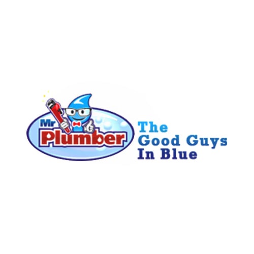 20 Best San Antonio Plumbers Expertise