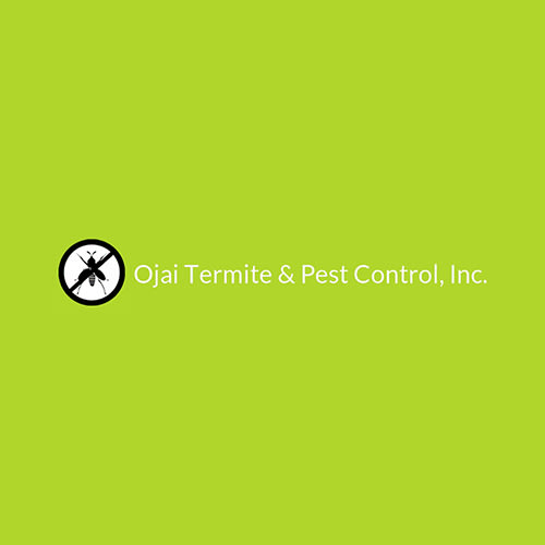 9 Best Ventura Pest Control Companies Expertise