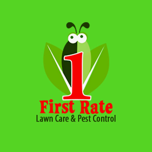 20 Best Oklahoma City Lawn Service Companies | Expertise