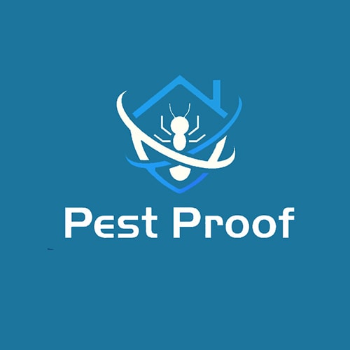 8 Best Manas Pest Control Companies Expertise