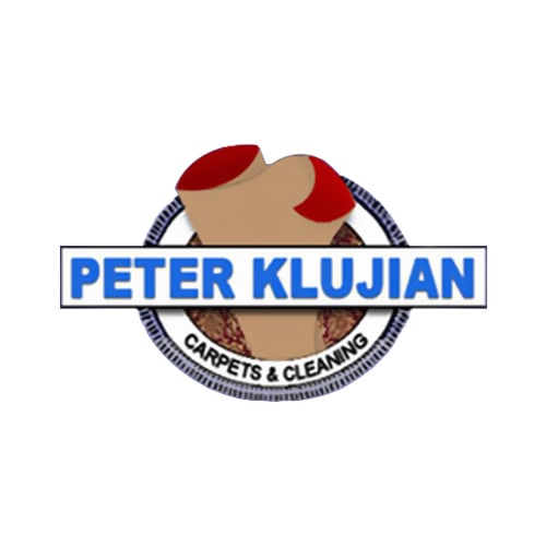 31 Best Chicago Carpet Cleaners | Expertise