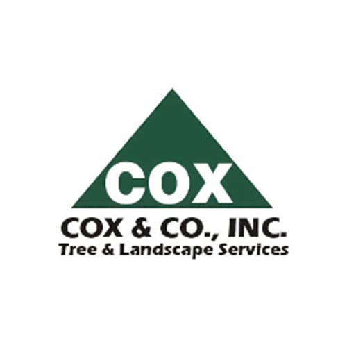 17 Best Philadelphia Tree Service Professionals Expertise Company Inc
