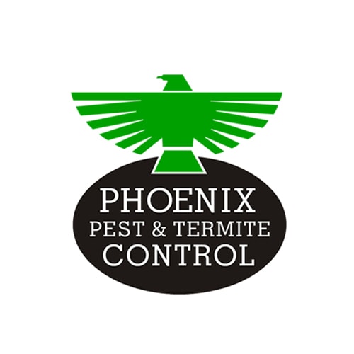 24 Best Phoenix Pest Control Companies | Expertise