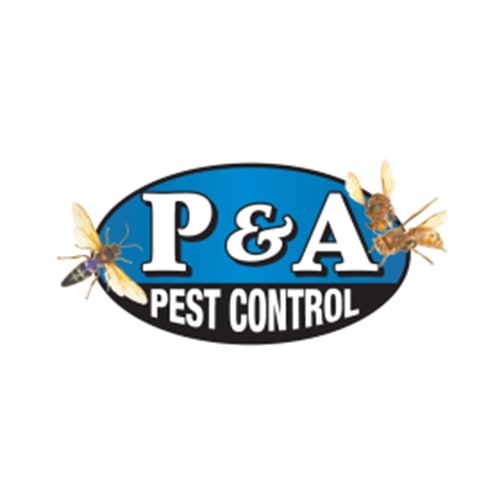 21 Best Fullerton Pest Control Companies | Expertise