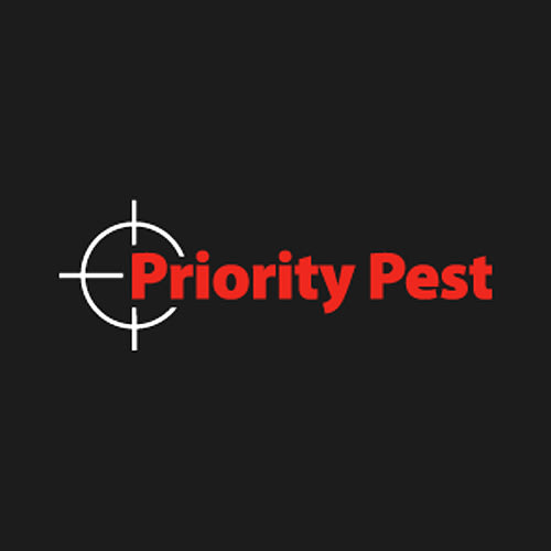 29 Best Nashville Pest Control Companies | Expertise