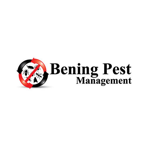 20 Best Raleigh Pest Control Companies | Expertise