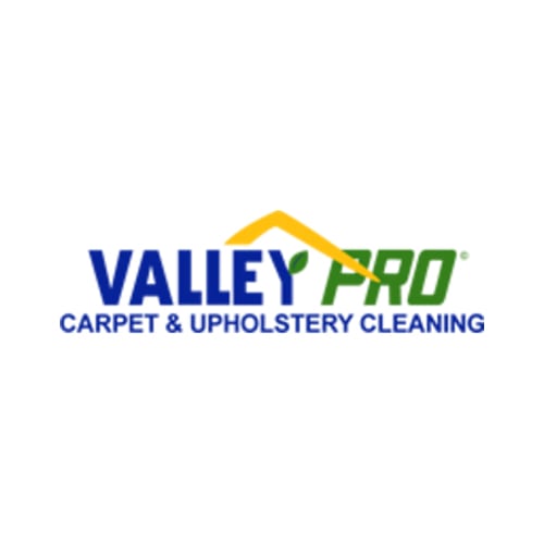 20 Best Salt Lake City Carpet Cleaners Expertise