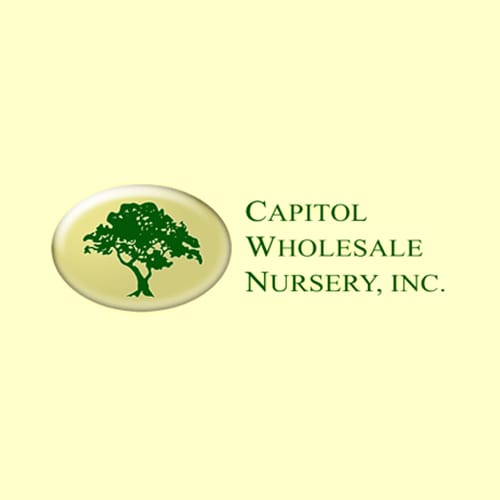 10 Best San Jose Garden And Nursery S Expertise Capitol Whole Nursery Inc