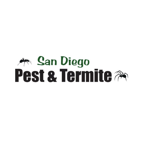 7 Best Escondido Pest Control Companies | Expertise