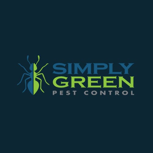 24 Best Chandler Pest Control Companies | Expertise