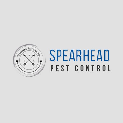 9 Best Ventura Pest Control Companies Expertise