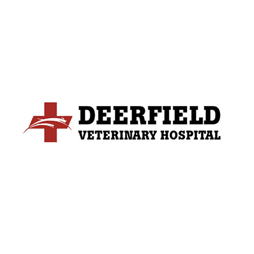 18 Best Springfield Veterinarians Expertise