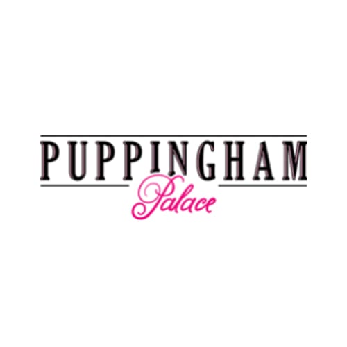 Best Dog Daycare St Louis