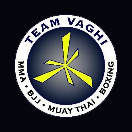 13 Best St. Louis Martial Arts Teachers Expertise