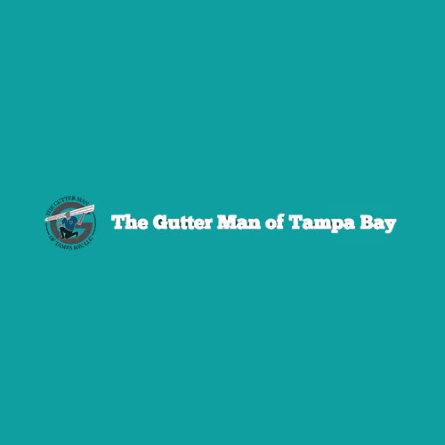 17 Best Tampa Gutter Services Expertise