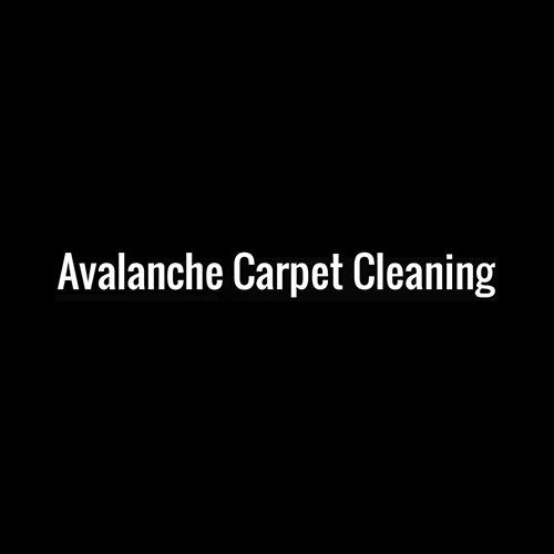 Carpet Cleaning Tampa Fl 727 742 5677 Powerpro Carpet Cleaning In Tampa Fl Says You Ll Get The Most Thorough Ever Or It S Free