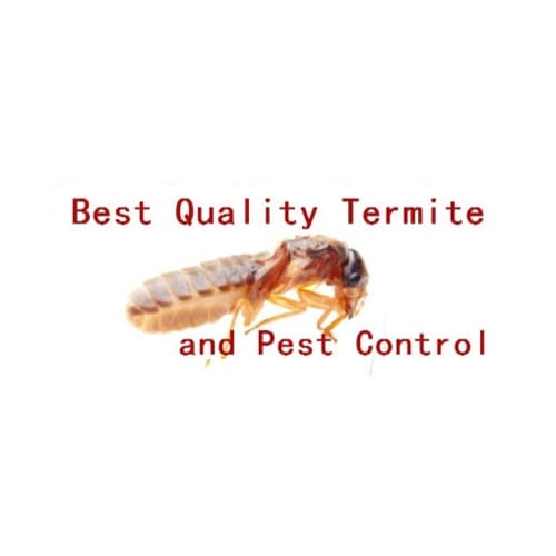 7 Best Culver City Pest Control Companies | Expertise