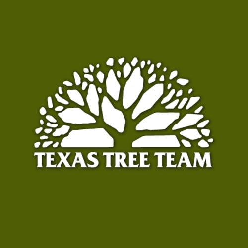 18 Best Houston Tree Service Professionals Expertise