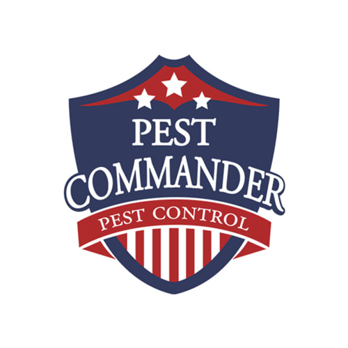 25 Best Pasadena Pest Control Companies | Expertise