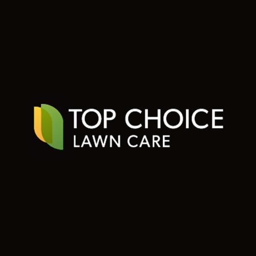 18 Best Austin Landscapers Expertise