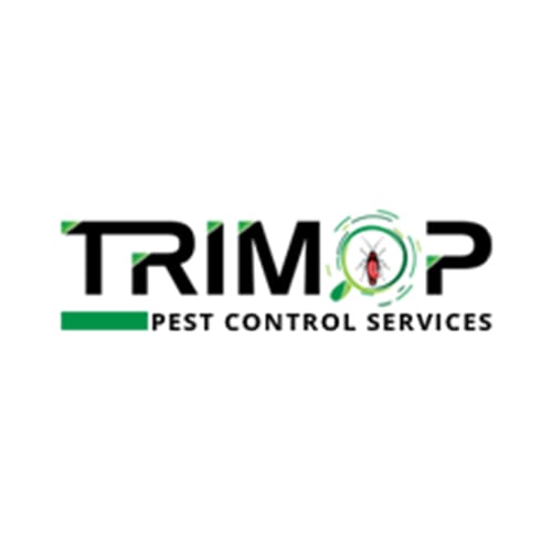 5 Best Round Rock Pest Control Companies | Expertise