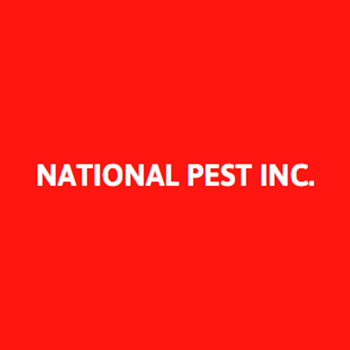 8 Best Manas Pest Control Companies Expertise National Pest Inc
