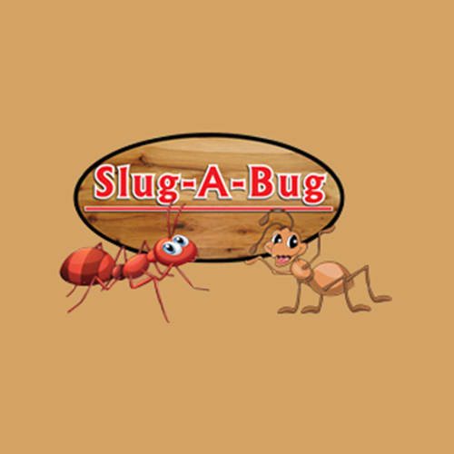 8 Best Manas Pest Control Companies Expertise Slug A Bug