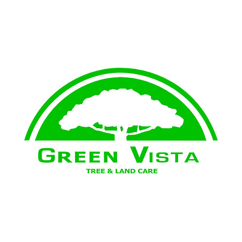 19 Best Washington Dc Tree Service Professionals Expertise Green Vista Tree Care